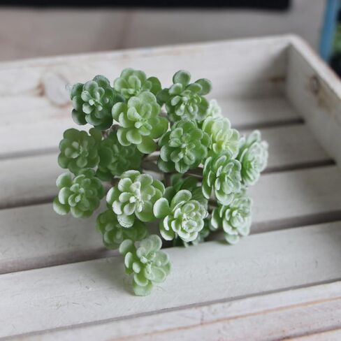 Artificial Flocked Succulents - Creative Fake Plants for DIY Crafting, Home Floral Wall, Garden Arrangement & Office Decor in Saudi Arabia