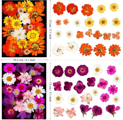 LUCISKY 99Pcs Pressed Dried Flowers and Butterfly for Resin Molds, Assorted Real Natural Flowers Leaves Stickers for DIY Art Nail Crafts, Jewelry, Candle, Soap Crafts Making in Kuwait