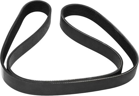New V-Ribbed Belt 3288856 3925953 3921603 Compatible with 6B 6BT 6B5.9 6BTA5.9 6B59 Engine in Saudi Arabia