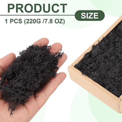 MECCANIXITY 7.8oz طحلب الرنة المحفوظ، طحلب صناعي مزخرف أسود للنباتات بوعاء الحرف الداخلية ديكور القطع المركزية in Saudi Arabia