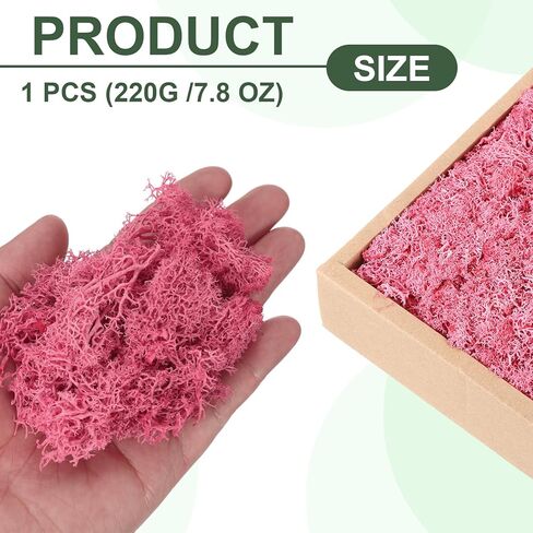 MECCANIXITY 7.8oz طحلب الرنة المحفوظ، طحلب صناعي مزخرف أسود للنباتات بوعاء الحرف الداخلية ديكور القطع المركزية in Kuwait