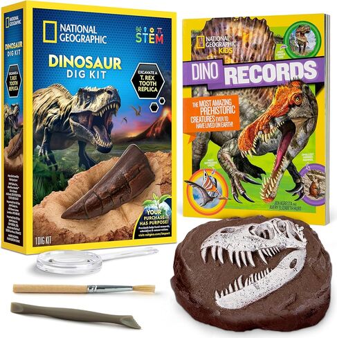 NATIONAL GEOGRAPHIC Mega Fossil and Gemstone Dig Kit - Excavate 20 Real Fossils and Gems, Science Kit for Kids, Rock Digging Excavation Kit, Geology Gifts for Boys and Girls (Amazon Exclusive) in Saudi Arabia