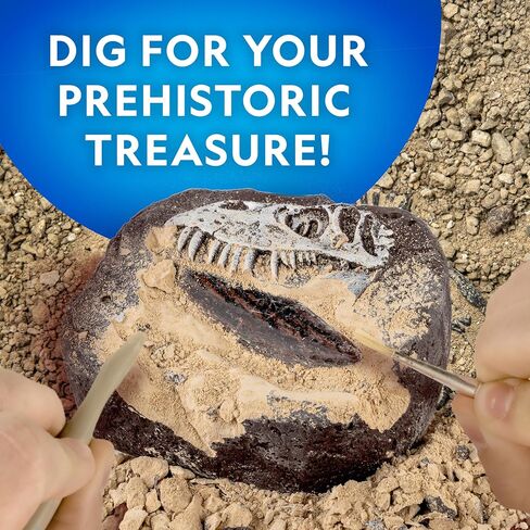 NATIONAL GEOGRAPHIC Mega Fossil and Gemstone Dig Kit - Excavate 20 Real Fossils and Gems, Science Kit for Kids, Rock Digging Excavation Kit, Geology Gifts for Boys and Girls (Amazon Exclusive) in Saudi Arabia