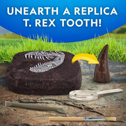 NATIONAL GEOGRAPHIC Mega Fossil and Gemstone Dig Kit - Excavate 20 Real Fossils and Gems, Science Kit for Kids, Rock Digging Excavation Kit, Geology Gifts for Boys and Girls (Amazon Exclusive) in Saudi Arabia