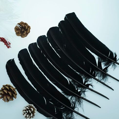 ريش لصياغة ريش تركيا 10-12 بوصة 24 قطعة من الريش الأسود الكبير للحرف اليدوية DIY مصنوعات الريش الطبيعية الكبيرة للزينة in Kuwait