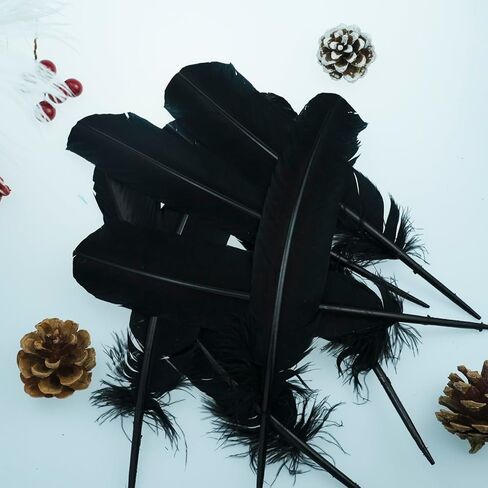 ريش لصياغة ريش تركيا 10-12 بوصة 24 قطعة من الريش الأسود الكبير للحرف اليدوية DIY مصنوعات الريش الطبيعية الكبيرة للزينة in Kuwait