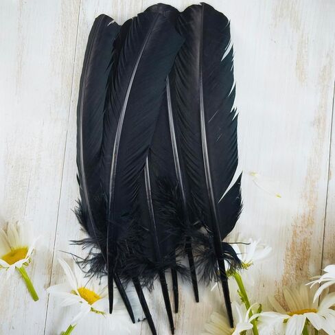 ريش لصياغة ريش تركيا 10-12 بوصة 24 قطعة من الريش الأسود الكبير للحرف اليدوية DIY مصنوعات الريش الطبيعية الكبيرة للزينة in Kuwait