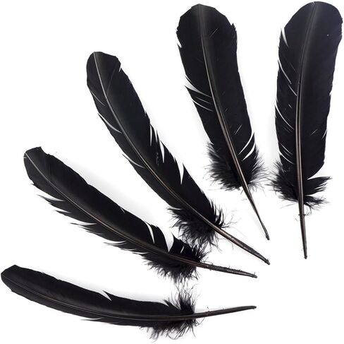 ريش لصياغة ريش تركيا 10-12 بوصة 24 قطعة من الريش الأسود الكبير للحرف اليدوية DIY مصنوعات الريش الطبيعية الكبيرة للزينة in Kuwait