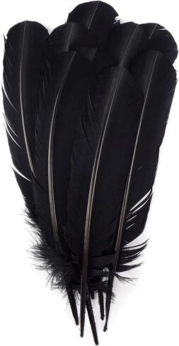 ريش لصياغة ريش تركيا 10-12 بوصة 24 قطعة من الريش الأسود الكبير للحرف اليدوية DIY مصنوعات الريش الطبيعية الكبيرة للزينة in Kuwait