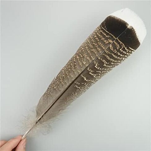 Zamihalaa 10Pcs/Lot Natural Eagle Feathers for Crafts Plume Headdress Accessories Holiday Decoration Carnival Feather DIY Handicraft Decor - 25-30cm 10-12Inch - 10Pcs A2 in Saudi Arabia