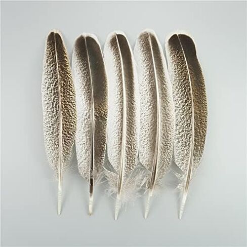 Zamihalaa 10Pcs/Lot Natural Eagle Feathers for Crafts Plume Headdress Accessories Holiday Decoration Carnival Feather DIY Handicraft Decor - 25-30cm 10-12Inch - 10Pcs A2 in Saudi Arabia