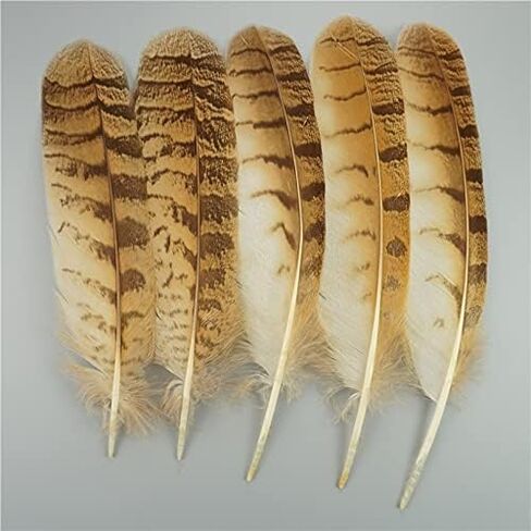Zamihalaa 10Pcs/Lot Natural Eagle Feathers for Crafts Plume Headdress Accessories Holiday Decoration Carnival Feather DIY Handicraft Decor - 25-30cm 10-12Inch - 10Pcs A2 in Saudi Arabia