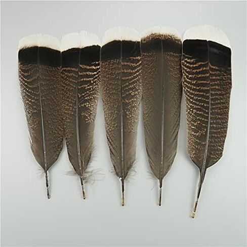 Zamihalaa 10Pcs/Lot Natural Eagle Feathers for Crafts Plume Headdress Accessories Holiday Decoration Carnival Feather DIY Handicraft Decor - 25-30cm 10-12Inch - 10Pcs A2 in Saudi Arabia