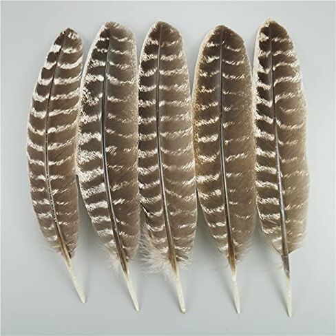 Zamihalaa 10Pcs/Lot Natural Eagle Feathers for Crafts Plume Headdress Accessories Holiday Decoration Carnival Feather DIY Handicraft Decor - 25-30cm 10-12Inch - 10Pcs A2 in Saudi Arabia