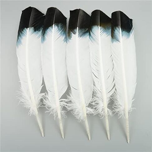 Zamihalaa 10Pcs/Lot Natural Eagle Feathers for Crafts Plume Headdress Accessories Holiday Decoration Carnival Feather DIY Handicraft Decor - 25-30cm 10-12Inch - 10Pcs A2 in Saudi Arabia