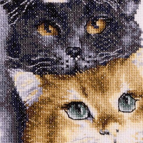 Dutch Stitch Brothers - Counted Cross Stitch Kit - DSB012A - Three Cats - White Aida - 10.2 x 7.1 Inch - Embroidery Kit for adults in Saudi Arabia