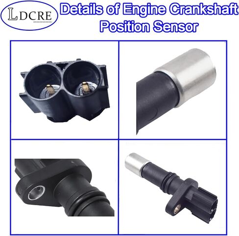 Engine Crankshaft Position Sensor Fit for Toyota Camry Corolla RAV4 Prius Highlander Avalon Matrix Sienna Venza Scion tC xD Lexus CT200h ES300h NX300h Pontiac Vibe Replace 9091905070 90919A5004 in Saudi Arabia