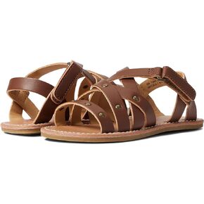 Rachel Shoes Girl's Lil Brazil (Toddler/Little Kid)