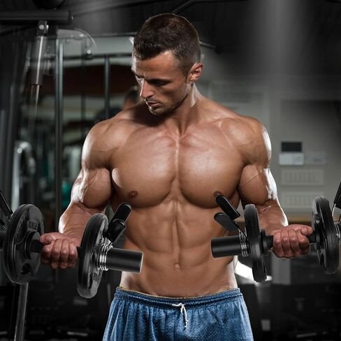 16" Olympic Dumbbell Handle, Dumbbell Bar for 2-inch Olympic Weight Plates, Loadable Dumbbells for Home Gym Strength Training, 2 Pair of Spring Collars Included Silver in Saudi Arabia