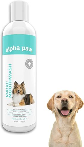 Alpha Paw Magic Mouthwash for Dogs, Natural Water Additive, Canine Breath Freshener, Dog Essentials for Plaque and Tartar Treatment, Made in The USA (8 oz) in Saudi Arabia