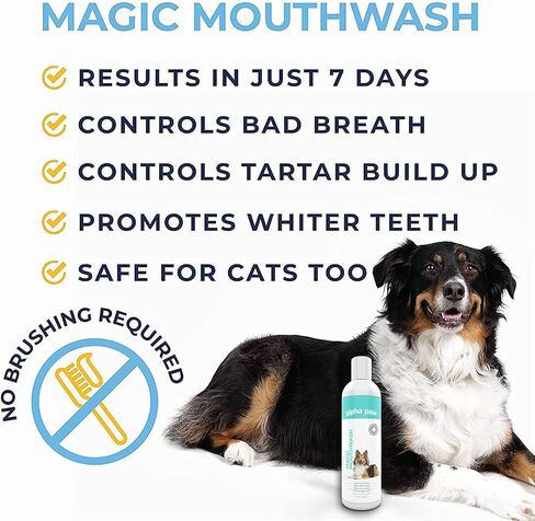 Alpha Paw Magic Mouthwash for Dogs, Natural Water Additive, Canine Breath Freshener, Dog Essentials for Plaque and Tartar Treatment, Made in The USA (8 oz) in Saudi Arabia