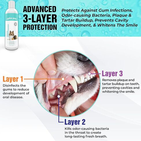 Alpha Paw Magic Mouthwash for Dogs, Natural Water Additive, Canine Breath Freshener, Dog Essentials for Plaque and Tartar Treatment, Made in The USA (8 oz) in Saudi Arabia