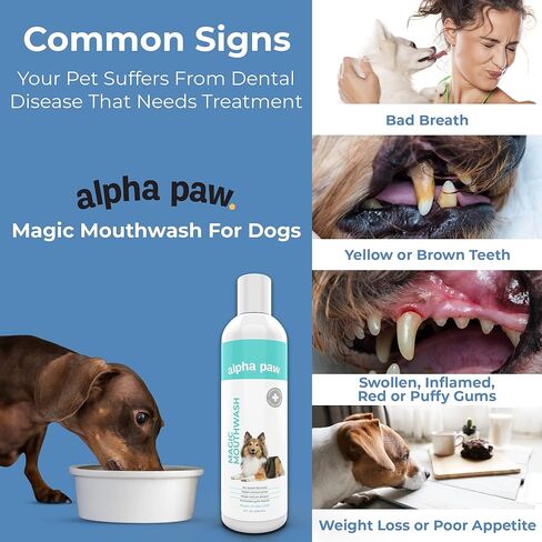 Alpha Paw Magic Mouthwash for Dogs, Natural Water Additive, Canine Breath Freshener, Dog Essentials for Plaque and Tartar Treatment, Made in The USA (8 oz) in Saudi Arabia