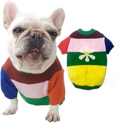 سترة Zhendehenziyou الكلاسيكية للكلاب والقطط، بلوفر ناعم سميك دافئ، قميص شتوي بارد للجرو، زهرة ملونة بألوان قوس قزح للقطط والصلصال (كبير) in Kuwait