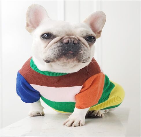 سترة Zhendehenziyou الكلاسيكية للكلاب والقطط، بلوفر ناعم سميك دافئ، قميص شتوي بارد للجرو، زهرة ملونة بألوان قوس قزح للقطط والصلصال (كبير) in Kuwait