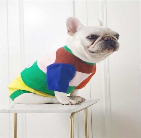 سترة Zhendehenziyou الكلاسيكية للكلاب والقطط، بلوفر ناعم سميك دافئ، قميص شتوي بارد للجرو، زهرة ملونة بألوان قوس قزح للقطط والصلصال (كبير) in Kuwait