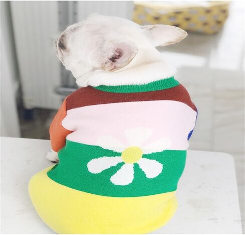 سترة Zhendehenziyou الكلاسيكية للكلاب والقطط، بلوفر ناعم سميك دافئ، قميص شتوي بارد للجرو، زهرة ملونة بألوان قوس قزح للقطط والصلصال (كبير) in Kuwait