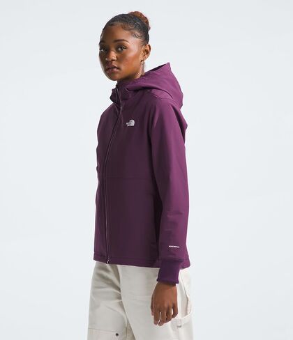 THE NORTH FACE Women's Shelbe Raschel Fleece Hooded Jacket (Standard and Plus Size), Black Currant Purple, Small in Saudi Arabia