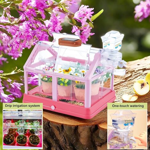مجموعة أدوات زراعة النباتات للأطفال من EXBEPE، مجموعة زراعة الدفيئة، مجموعة Terrarium Kit للأطفال، لعبة البستنة النباتية التعليمية DIY، الدفيئة الحية مع لوحة شمسية، مجموعة البستنة الداخلية in Kuwait