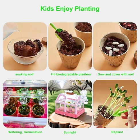 مجموعة أدوات زراعة النباتات للأطفال من EXBEPE، مجموعة زراعة الدفيئة، مجموعة Terrarium Kit للأطفال، لعبة البستنة النباتية التعليمية DIY، الدفيئة الحية مع لوحة شمسية، مجموعة البستنة الداخلية in Kuwait