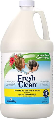 شامبو Pet-Ag Fresh 'n Clean Oatmeal 'n Baking Soda - رائحة استوائية منعشة - 64 أونصة - يغذي البشرة الجافة والحكة والحساسة مع فيتامين E والصبار - يقوي ويصلح المعاطف - خالٍ من الصابون in Kuwait