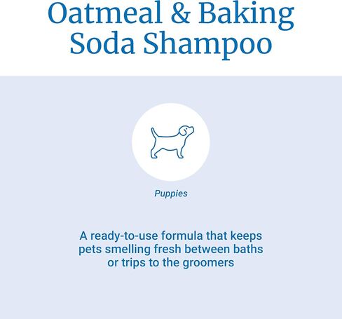 شامبو Pet-Ag Fresh 'n Clean Oatmeal 'n Baking Soda - رائحة استوائية منعشة - 64 أونصة - يغذي البشرة الجافة والحكة والحساسة مع فيتامين E والصبار - يقوي ويصلح المعاطف - خالٍ من الصابون in Kuwait