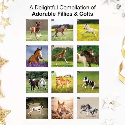 RED EMBER Horses 2026 Wall Calendar 12 Month | 12" x 24" Open | Thick & Sturdy Paper | Holiday Gift | Animal Calendar 2026 in Saudi Arabia