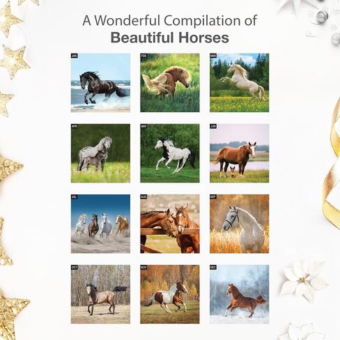 RED EMBER Horses 2026 Wall Calendar 12 Month | 12" x 24" Open | Thick & Sturdy Paper | Holiday Gift | Animal Calendar 2026 in Saudi Arabia