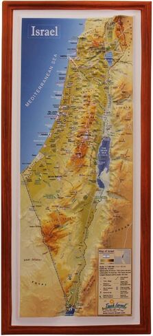 Raised Relief 3D Map of Israel (MEDIUM: 14.5 x 6.5) in Saudi Arabia