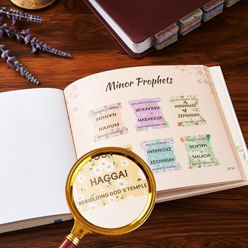 علامات تبويب الكتاب المقدس الزهرية للنساء، كتيب علامات تبويب فهرس الكتاب المقدس، 66 علامة تبويب مع عناوين الفصول وملخصاتها، دليل المحاذاة، علامات تبويب تجميل البتلات، لوازم هدايا دراسة الكتاب المقدس مغلفة مقاومة للماء in Kuwait