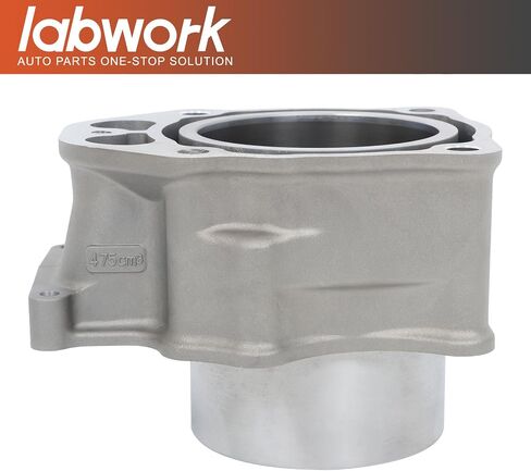 labwork Cylinder Head with Sleeve Cylinder Replacement for Honda TRX500 2009-2024 Replacement for 12200-HP7-A01 13101-HP5-600 in Saudi Arabia