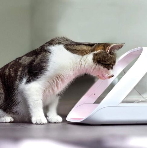 Sure Petcare -SureFlap - SureFeed - وحدة تغذية الحيوانات الأليفة ذات الرقاقة الدقيقة - وحدة تغذية الحيوانات الأليفة الانتقائية التلقائية تجعل أوقات الوجبات خالية من التوتر، ومناسبة لكل من الأطعمة الرطبة والجافة - MPF001 in Kuwait