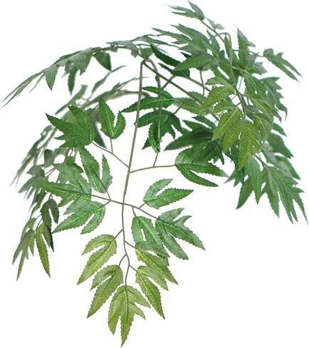 Vickerman 4' Indoor Artificial Ming Aralia Extra Full Bush, Brown Plastic Container. in Kuwait