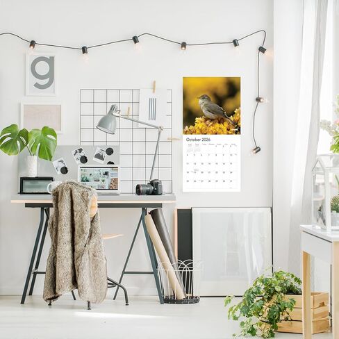 Songbirds 2023 Hangable Wall Calendar Monthly,12"x24" Open,North America Beautiful Wildlife Majestic Bird Photo Gift,Forest Birds Nature Photography,Secret Santa Office Gifting for Him Her- in Kuwait