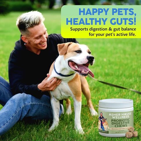 ASHER HOUSE WELLNESS Allergy Support Chew for Dogs | All Natural | Bee Pollen | Colostrum | in Saudi Arabia