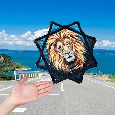 Flow Star Spinning Cloth 24 in Flowstar for Beginners & Advanced - Fun & Challenging Flow Toy (C4) in Kuwait