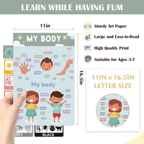 16 Educational Posters for Preschoolers, Laminated PreK Learning Poster Charts for Toddlers 1-3, Learning Wall Charts for Kids’ Bedroom, Playroom, Preschool, Kindergarten and Homeschool (Morandi A) in Saudi Arabia