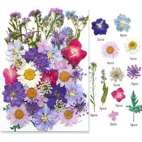 35Pcs Dried Pressed Flowers Leaves for Crafts Art DIY Preserved Natural Herbs Ferns Real Assorted Dry Greenery Leaves Plant Leaf for Resin Paper Making Bookmarks Decor Cakes Candles Handmade Green