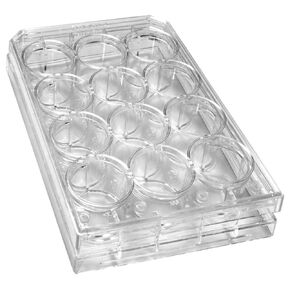 Caplugs Evergreen 222-8046-01F 12-Well Sterile Plates with Lid, 100 Pack, Natural, Polystyrene (PS), Well Volume 6.76 mL, Cell Cultures, Assays, Sample Preparation, Experiments, Laboratory Research