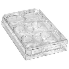 Caplugs Evergreen 222-8048-01F 6-Well Sterile Plates with Lid, 100 Pack, Natural, Polystyrene (PS), Well Volume 17.7 mL, Cell Cultures, Assays, Sample Preparation, Experiments, Laboratory Research
